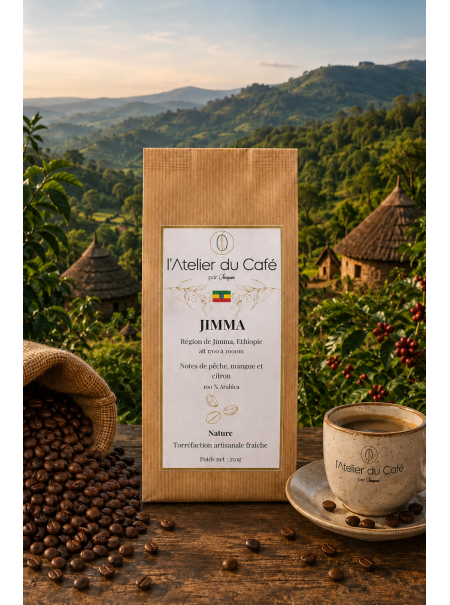 JIMMA (Ethiopie)