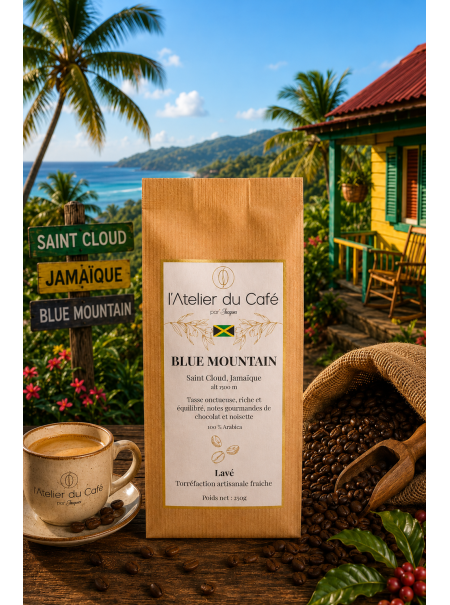 BLUE MOUNTAIN (Jamaïque)