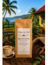 BLUE MOUNTAIN (Jamaïque)